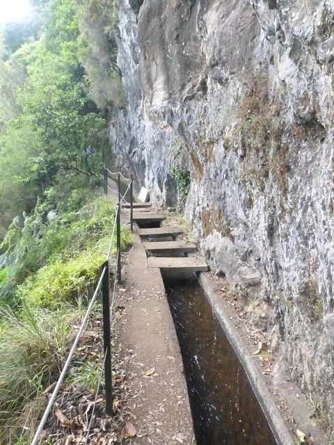 Levada do Rei — foto 9