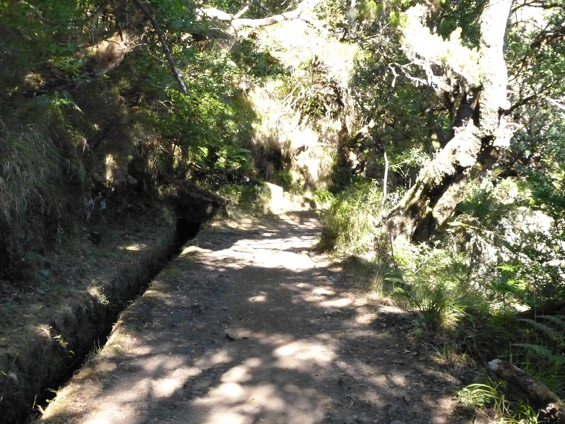 Levada do Risco — On along the wide path — photo 9