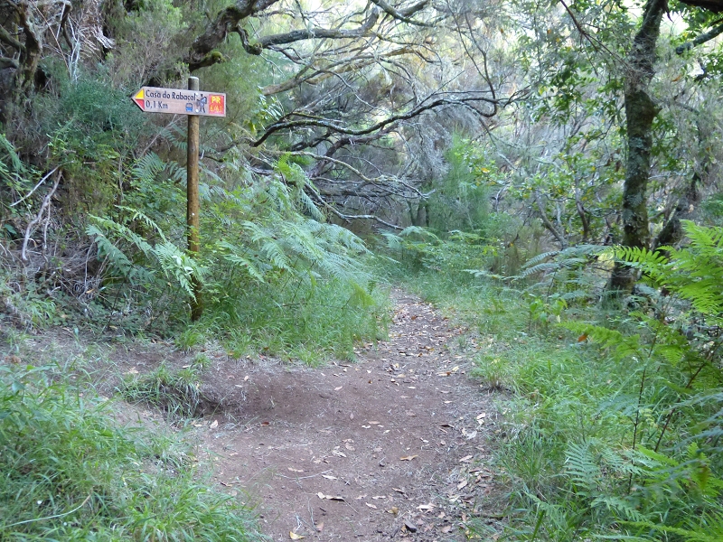 Levada do Risco — End of the active section: start of the piping — photo 1