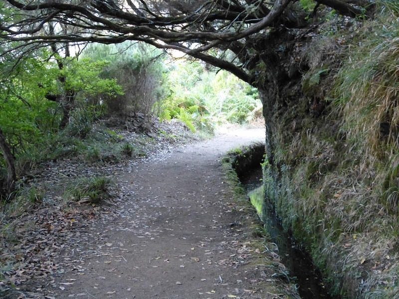 Levada do Risco — On along the wide path — photo 4