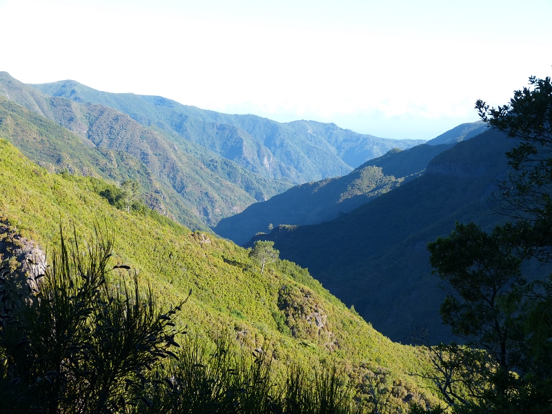 Levada do Risco — On along the wide path — photo 1