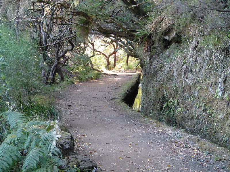 Levada do Risco — On along the wide path — photo 2