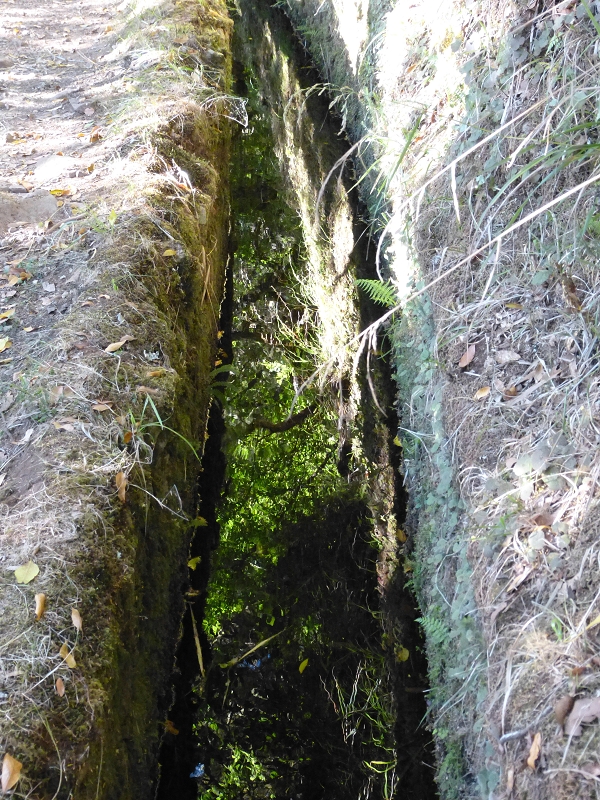 Levada do Risco — On along the wide path — photo 5