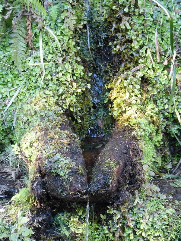 Levada do Risco — On along the wide path — photo 6