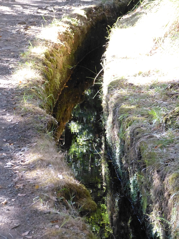 Levada do Risco — On along the wide path — photo 7