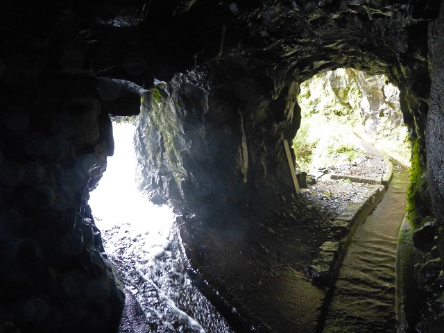 Levada do Seixal — Passage der Ribeira da Hortela — Foto 4