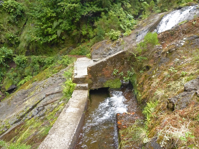Levada do Seixal — Passage der Ribeira do Seixal — Foto 1