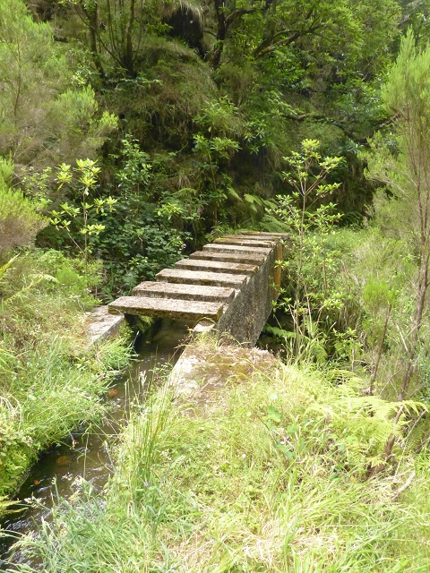 Levada do Seixal — Passage der Ribeira do Seixal — Foto 2