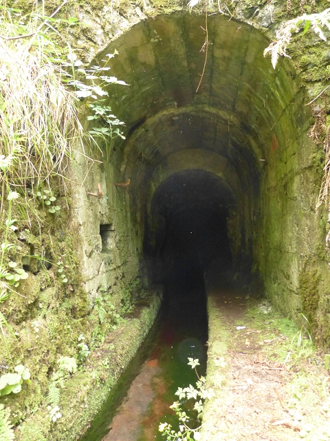 Levada do Seixal — Durch den Seixaltunnel zum Ende an der Levada da Rocha Vermelha — Foto 1