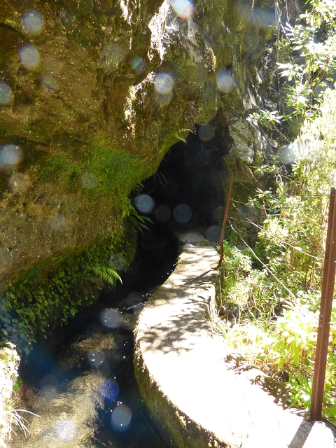 Levada do Seixal — Durch den Seixaltunnel zum Ende an der Levada da Rocha Vermelha — Foto 2