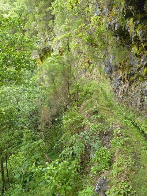 Levada do Seixal — Die ersten Meter — Foto 2