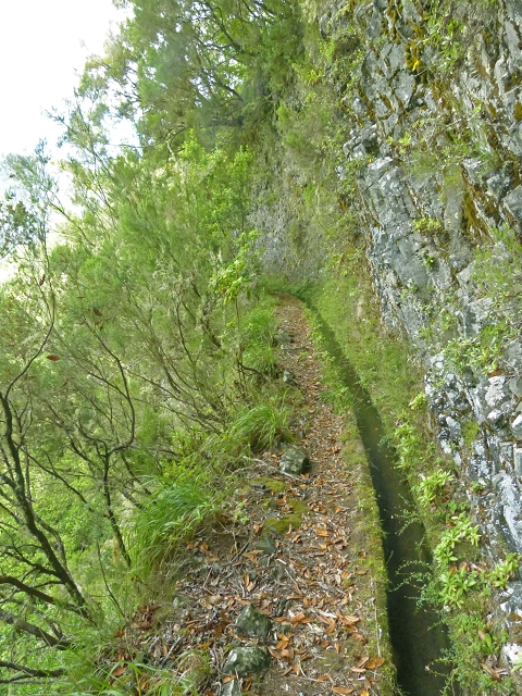 Levada do Seixal — Die ersten Meter — Foto 3