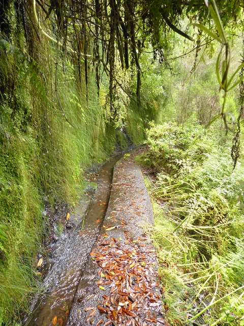 Levada do Seixal — Passage der Ribeira do Folhado — Foto 1