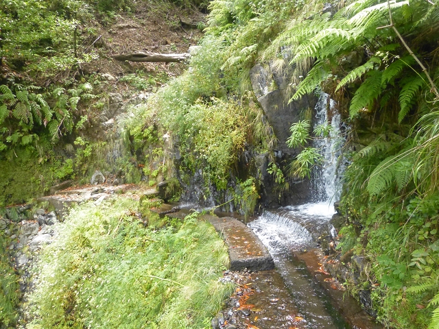 Levada do Seixal — Passage der Ribeira do Folhado — Foto 4