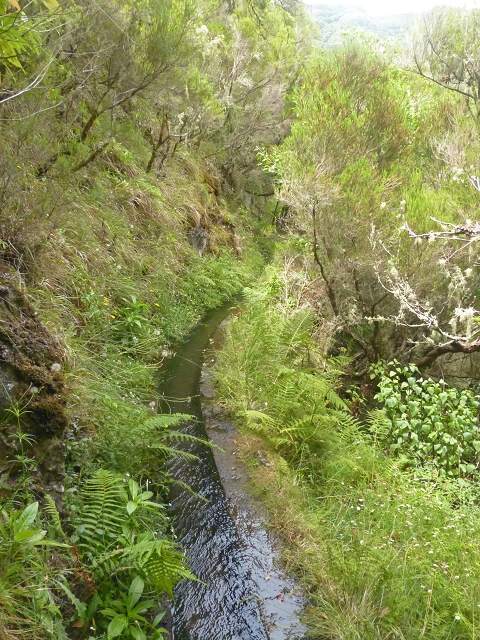 Levada do Seixal — Passage der Ribeira do Folhado — Foto 5