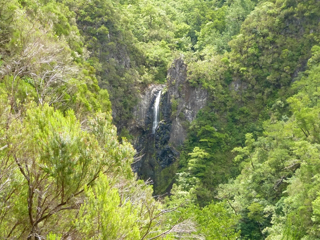 Levada do Seixal — Passage der Ribeira da Hortela — Foto 1