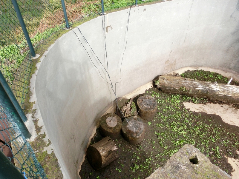 Levada do Teixo — Intermediate reservoir — photo 1