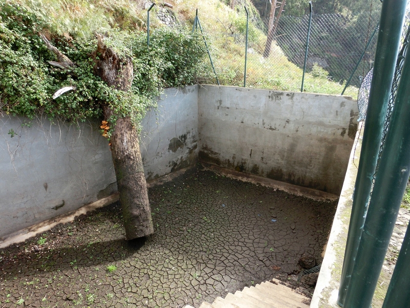 Levada do Teixo — Intermediate reservoir — photo 2