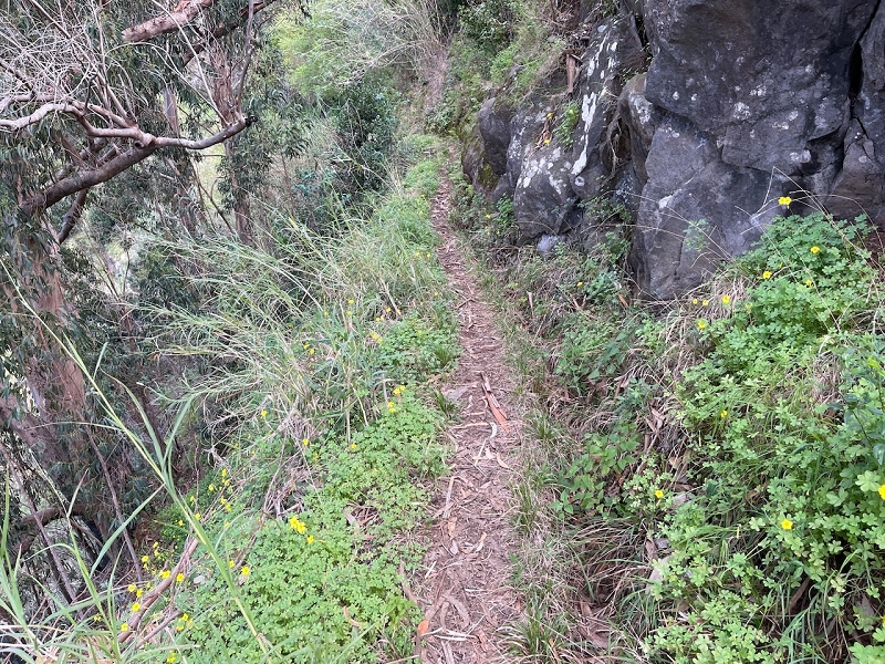 Levada do Teixo — From here relatively easy as far as Jangao — photo 4