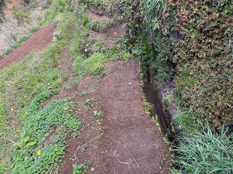 Levada do Teixo — From here relatively easy as far as Jangao — photo 5