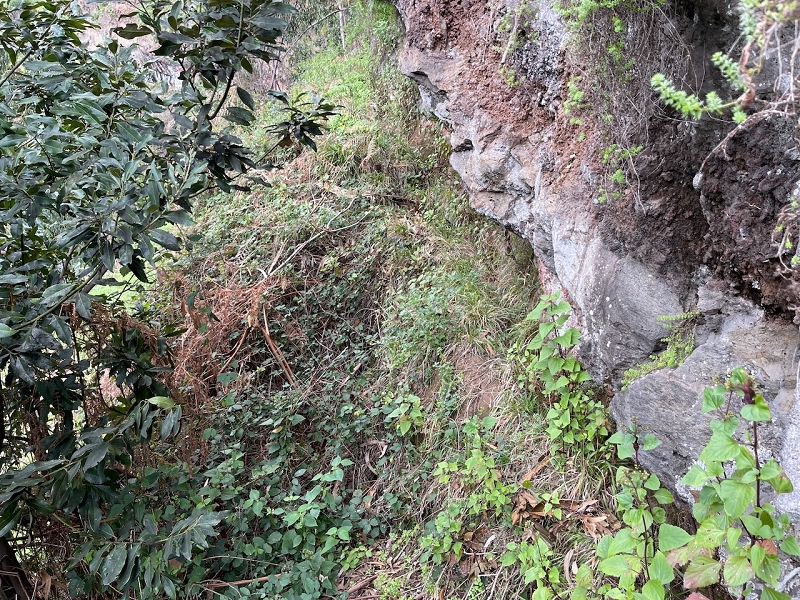Levada do Teixo — The levada continues, rock wall — photo 4