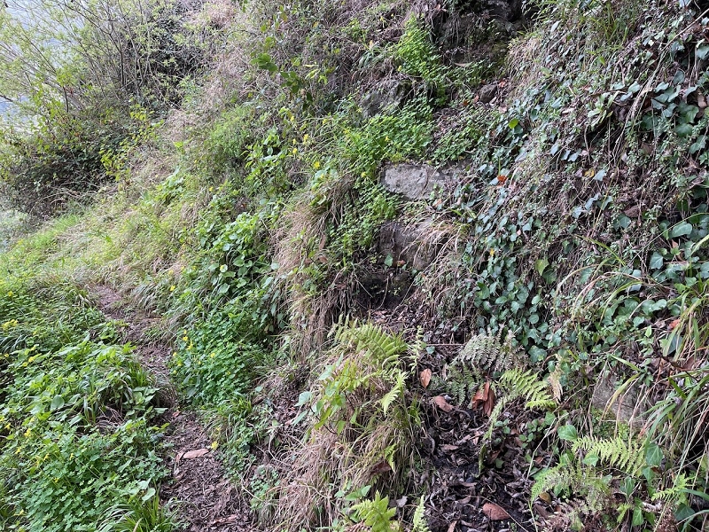 Levada do Teixo — From here relatively easy as far as Jangao — photo 1