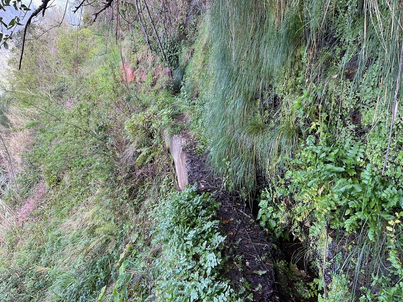 Levada do Teixo — From here relatively easy as far as Jangao — photo 3