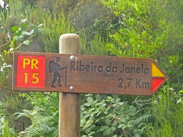 Levada dos Cedros — Secção 2: Continuação de Curral Falso em direção à Ribeira da Janela (PR-15) — foto 1