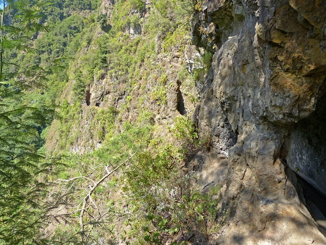 Levada das Cruzinhas — Secção 1 — foto 9