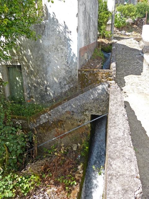 Levada das Cruzinhas — Secção 1 — foto 10