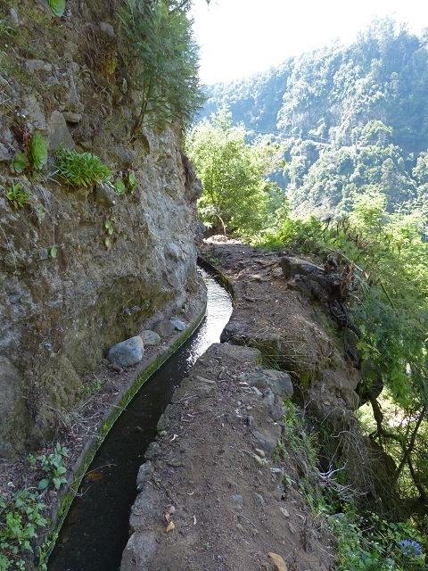 Levada das Cruzinhas — Secção 2 — foto 1