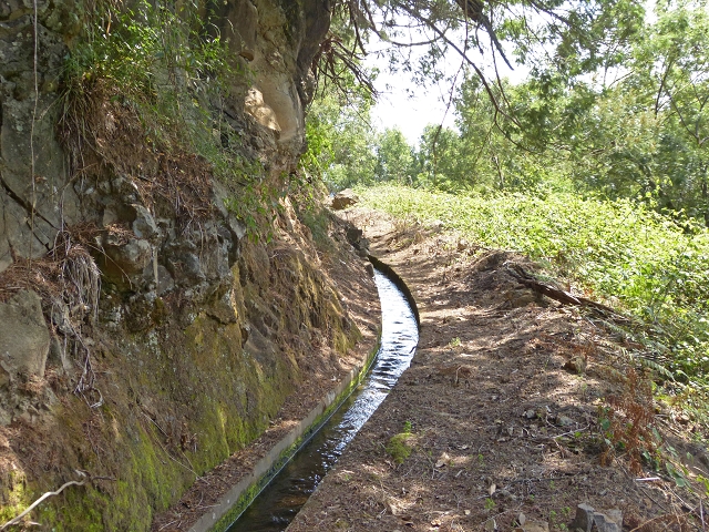 Levada das Cruzinhas — Secção 2 — foto 3