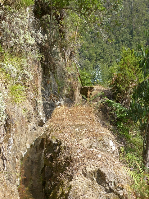 Levada das Cruzinhas — Secção 2 — foto 4