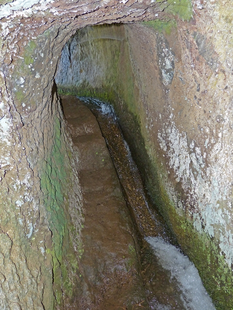Levada das Cruzinhas — Secção 2 — foto 6