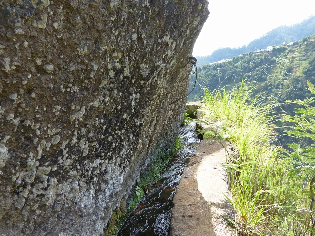 Levada das Cruzinhas — Secção 2 — foto 7
