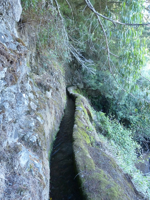 Levada das Cruzinhas — Secção 2 — foto 10