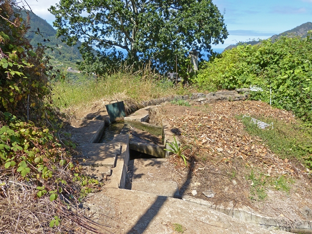 Levada das Cruzinhas — Secção 2 — foto 11