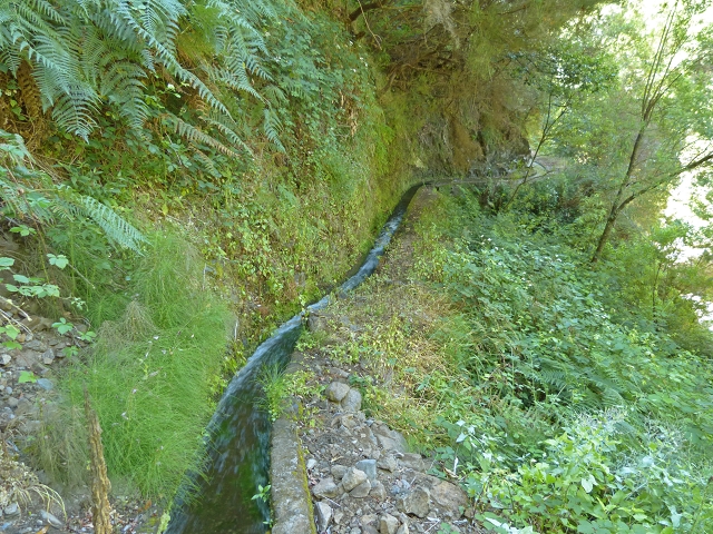 Levada das Cruzinhas — Secção 1 — foto 1