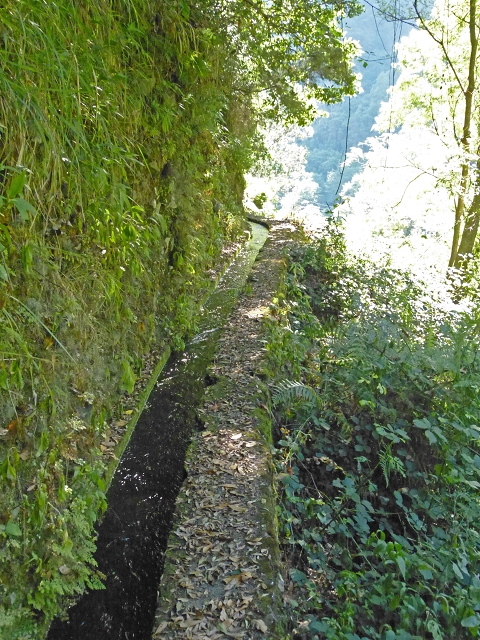 Levada das Cruzinhas — Secção 1 — foto 2