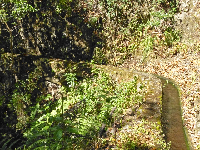 Levada das Cruzinhas — Secção 1 — foto 3