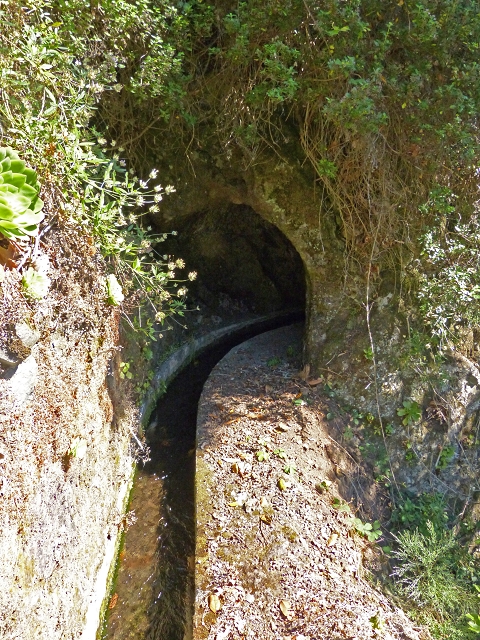 Levada das Cruzinhas — Secção 1 — foto 4
