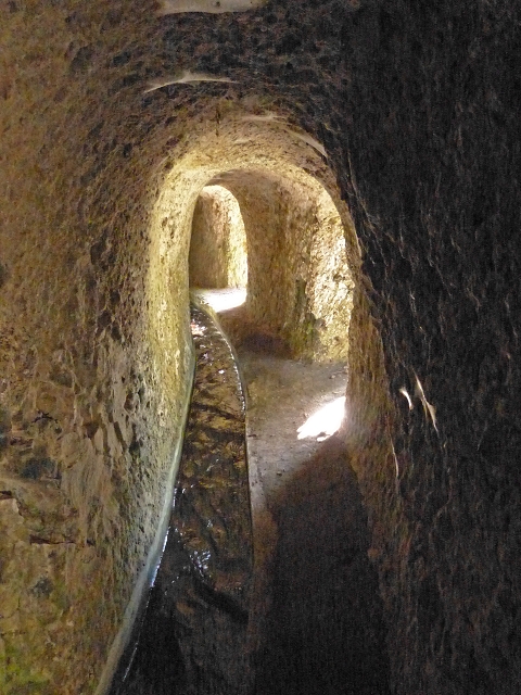 Levada das Cruzinhas — Secção 1 — foto 5
