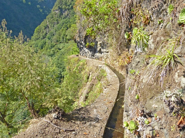 Levada das Cruzinhas — Secção 1 — foto 6