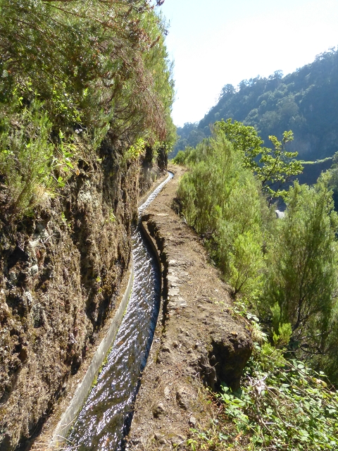 Levada das Cruzinhas — Secção 1 — foto 7
