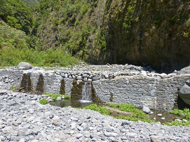 Levada dos Piornais — Madre — foto 1