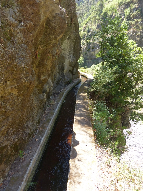 Levada dos Piornais — Até ao portão verde fechado — foto 2