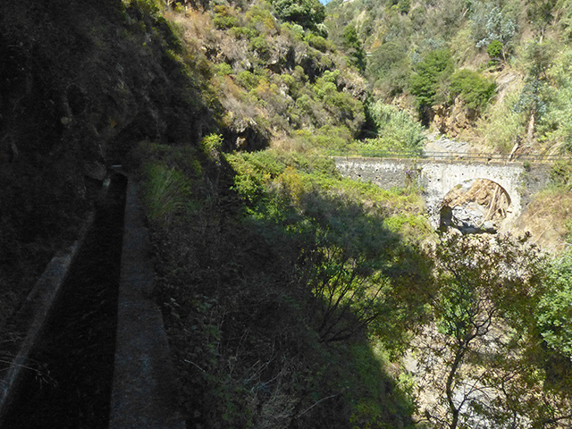 Levada dos Piornais — Até aos túneis de galeria — foto 3