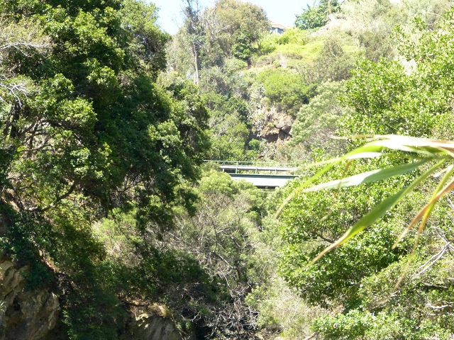Levada dos Piornais — Até aos túneis de galeria — foto 4