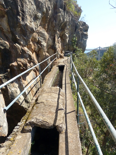 Levada dos Piornais — Os túneis de galeria — foto 3