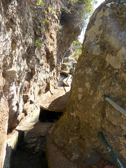 Levada dos Piornais — Os túneis de galeria — foto 4